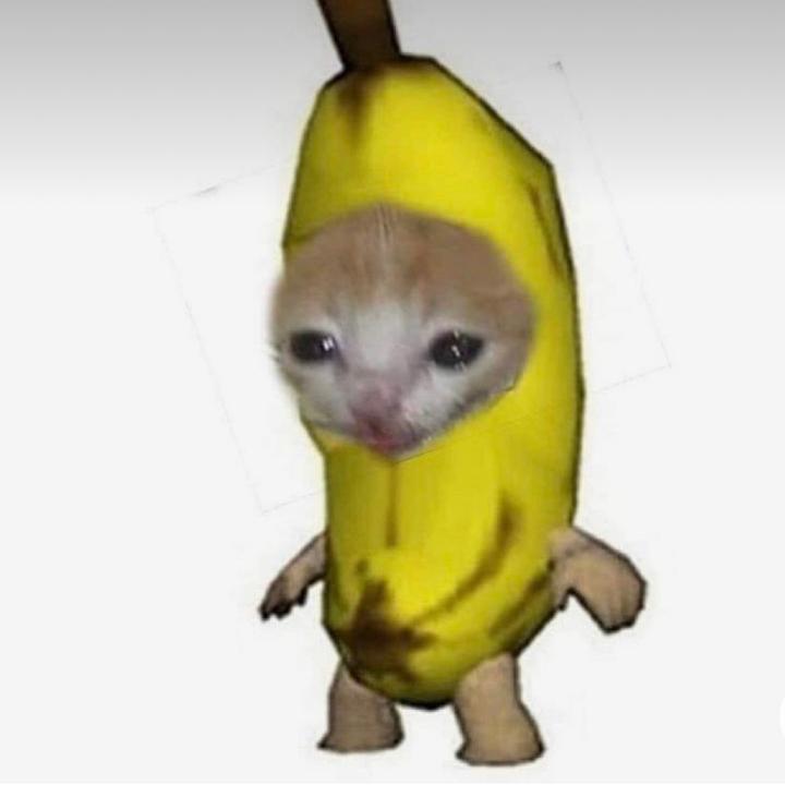 BANANA CAT 🍌🐱