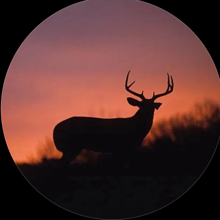 🦆🦌Lucas.✝️✝️