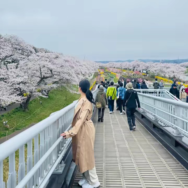 💎ရတနာစိန်ကျောက်💎