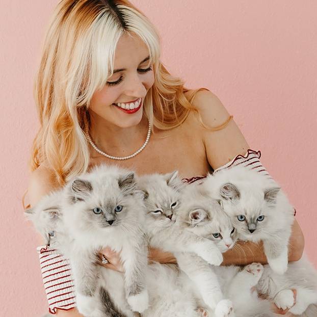 Pearl’s Ragdolls