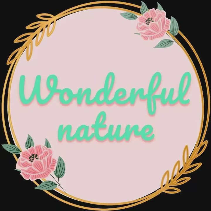 Wonderfulnature