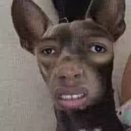 CHÓ LÀ BẠN - KHÔNG PHẢI TÔI