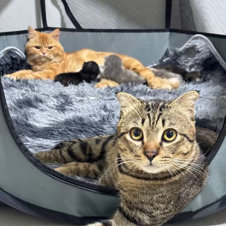 หวานเจี๊ยบ@โคราช