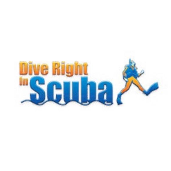 Dive Right In Scuba 🤿