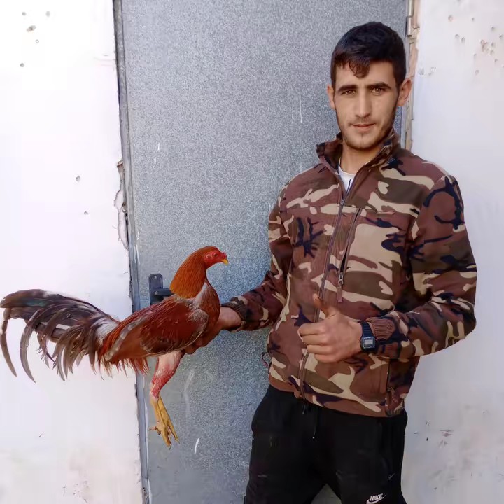 galleraminiñamanuela