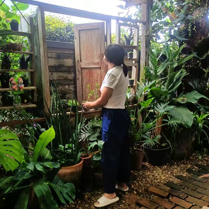 ไข่ดาวตัวกลม ʕ•ᴥ•ʔ