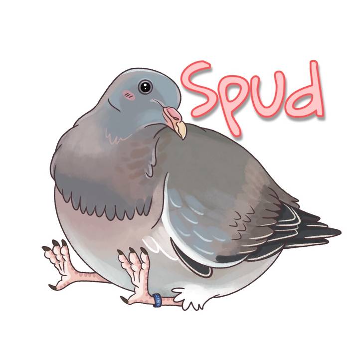 Spud