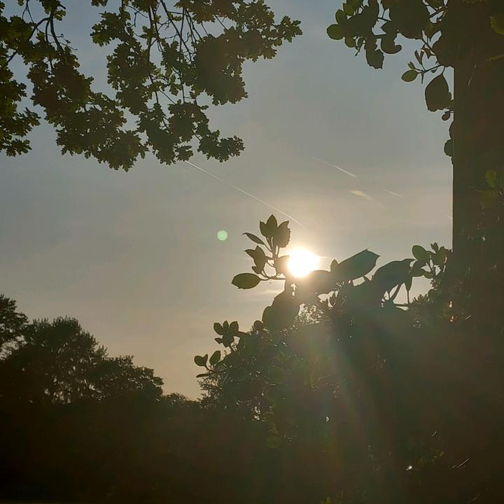 omg so beautiful 😍