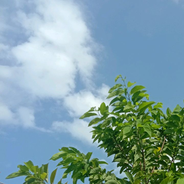 🌙รีวิว✨