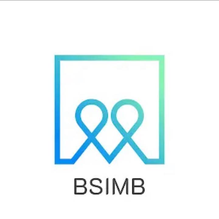 bsimb_frames