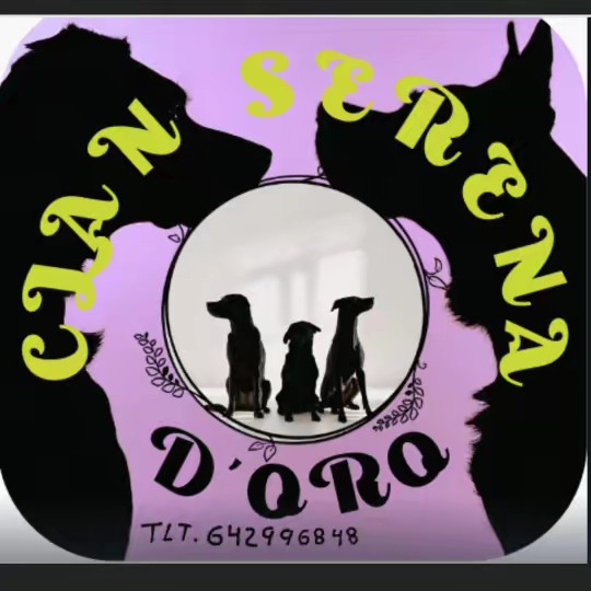 Clan Serena D'oro