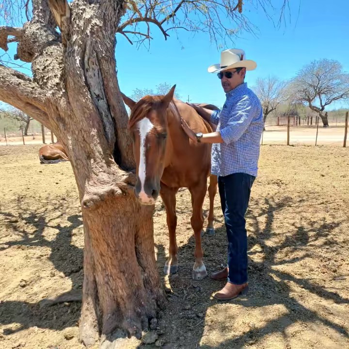 Jesus Ochoa Valenzuela