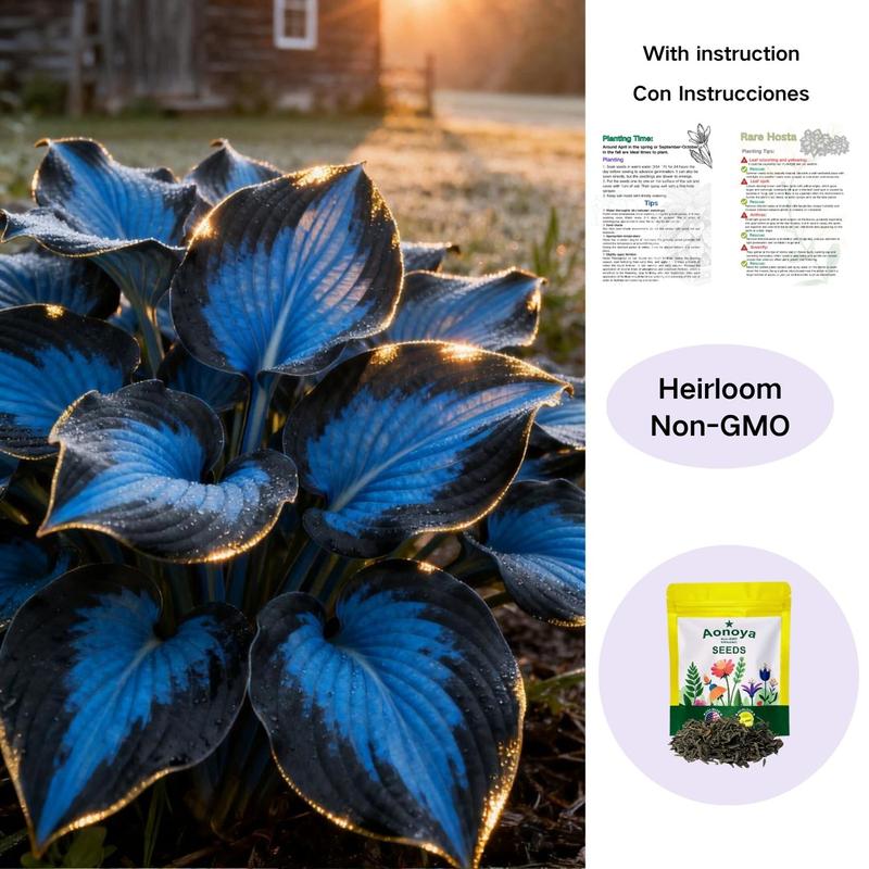 【Buy 2 Get 1 Free】Hosta Seeds Perennial Shade Plant for Garden and Yard Non-GMO USA Made with Instructions for Easy Care and Versatile Growth summergarden