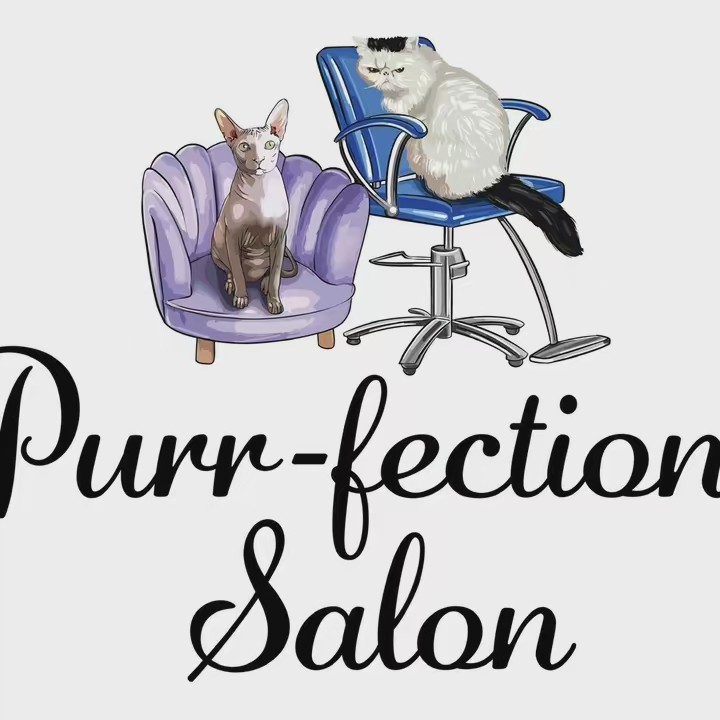 Purr-fection_Salon