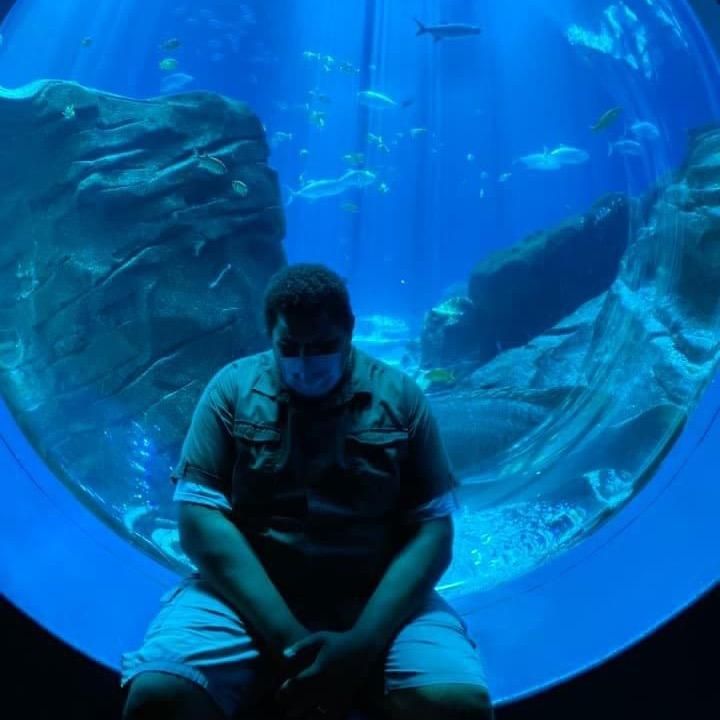 Damian Travel✈️Food🌯Gaming🎮