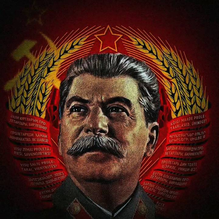 𝚃𝚑𝚎 𝚂𝚎𝚗𝚝𝚒𝚗𝚎𝚕 ☭