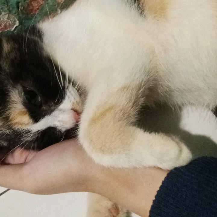 gadis kesayangan bapak❤️