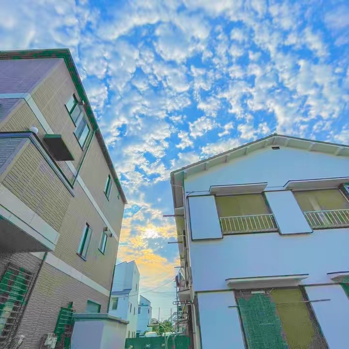 🐶🌨sora 소라🧃💖