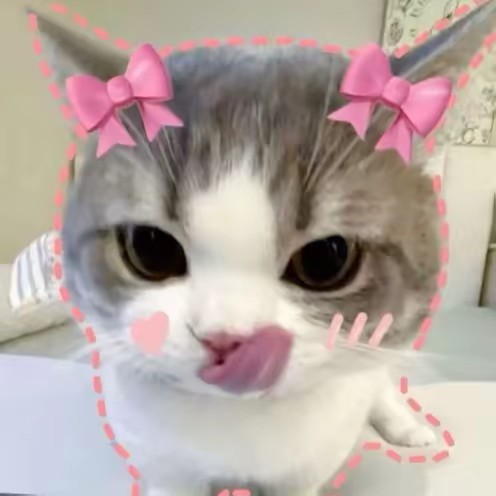 เฟียชี้พิกัด🌟