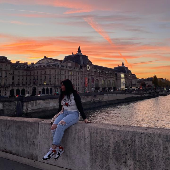 highlighted_sentences