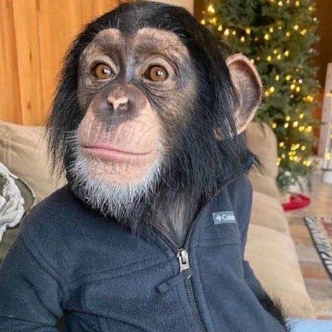 Іван Бібізян