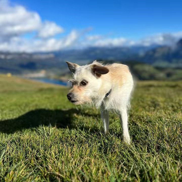 lanathelittleexplorer