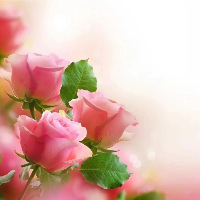 Dyjhm1314