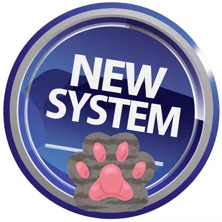 ニューシステム💖🐻👞