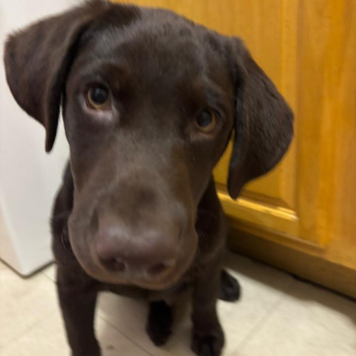 sariforpartyrocking🇩🇴🇲🇽