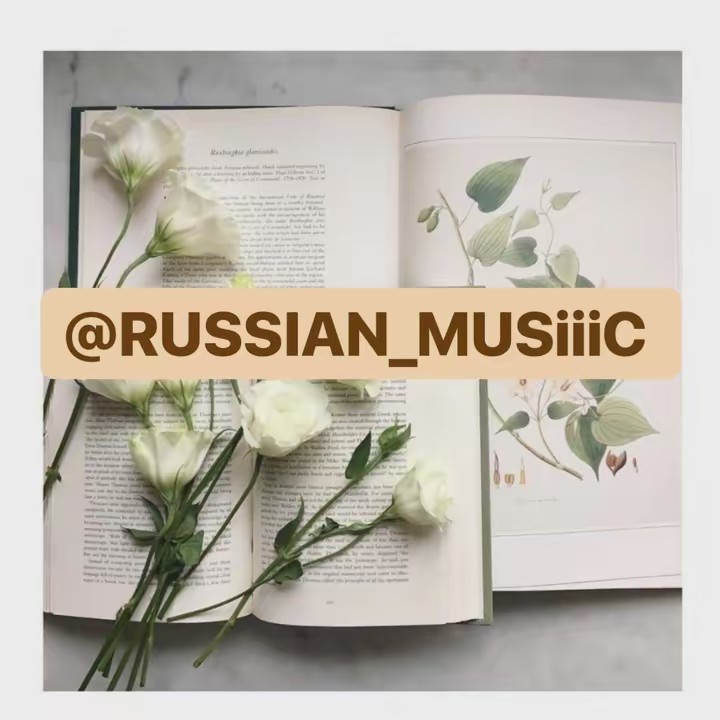 Русская музыка❤️☀️