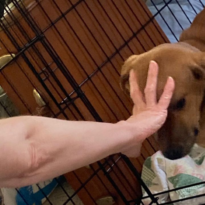 Fruma Elizabeth 🏳️‍⚧️