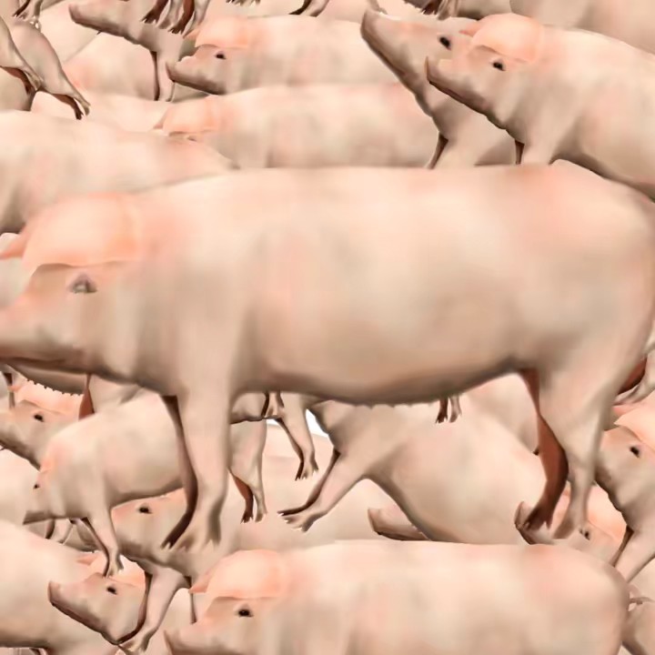 pigman_okada