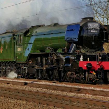 IsaacSalt1061(quidgepicklefan)