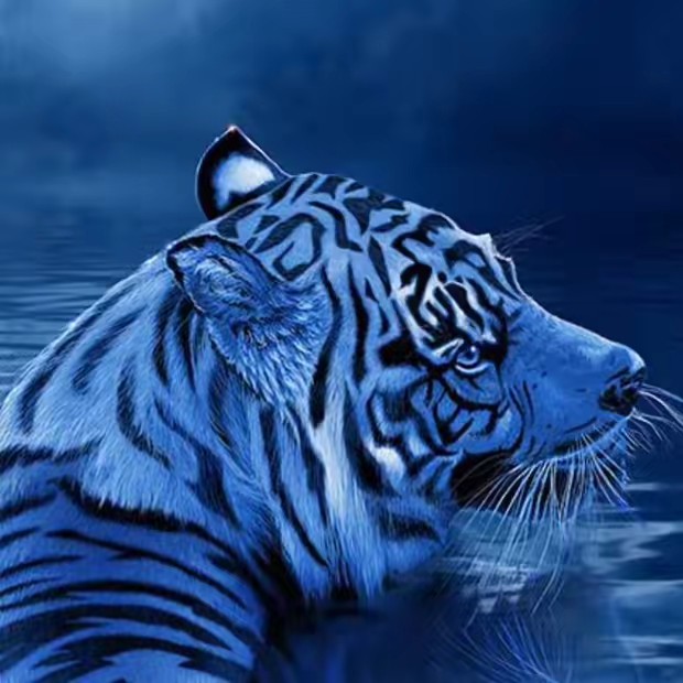 🐉🐈‍⬛気まぐれ🌙