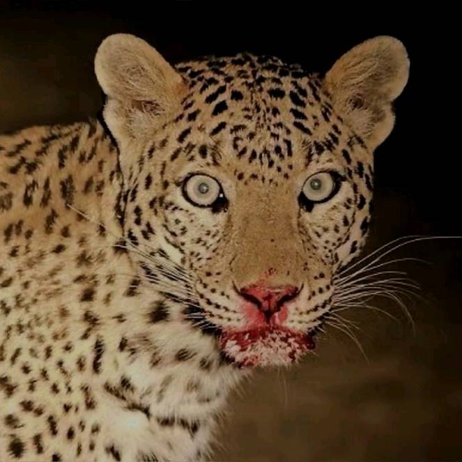 килька хуилька💥🌹