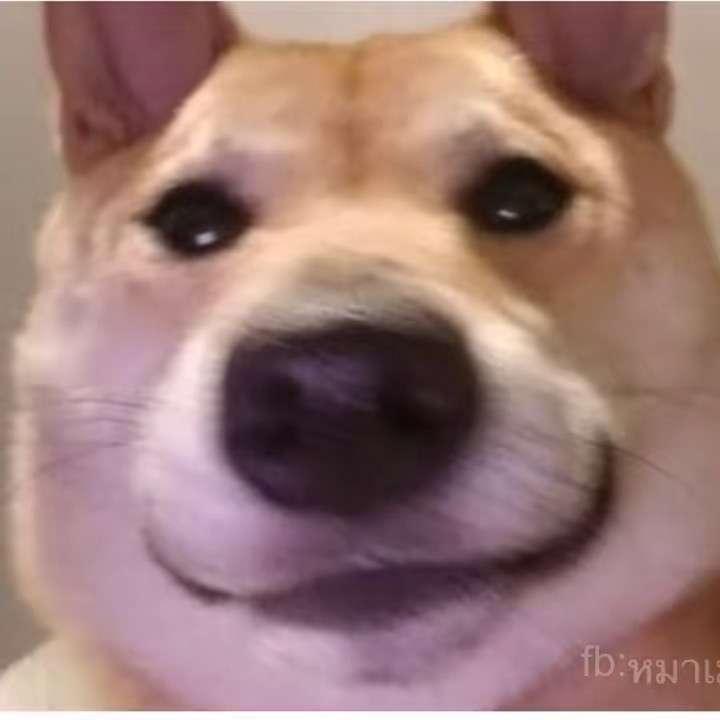 ออสก้าครับ🔥