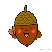 どんぐり　佐々木伸