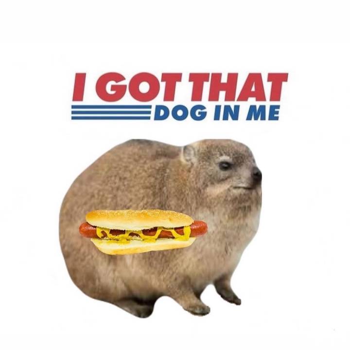 𝕷𝖎𝖆𝖒 🦦