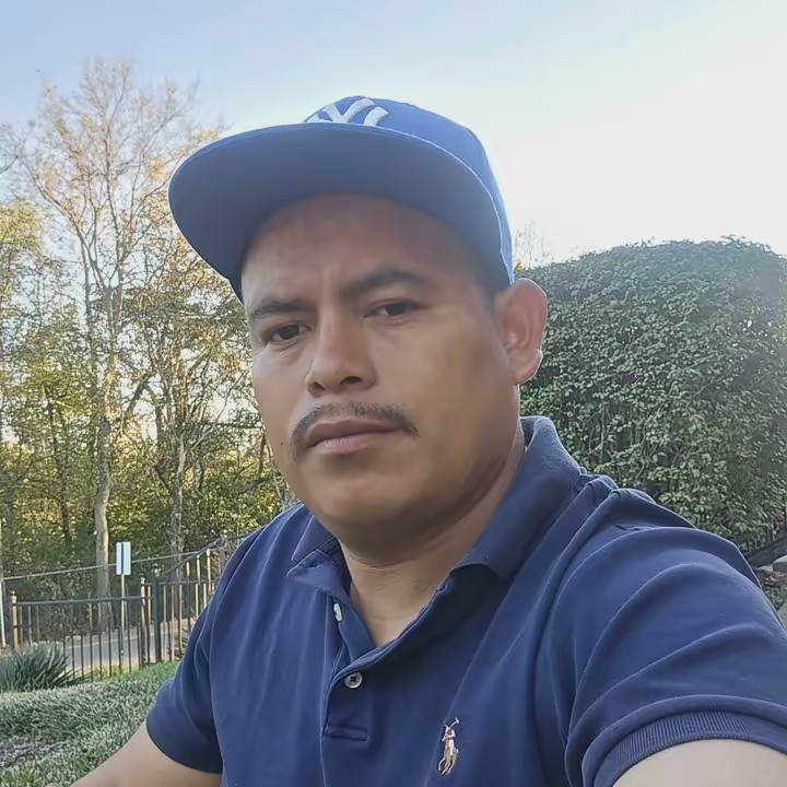 El gatito🐱🐈🇬🇹