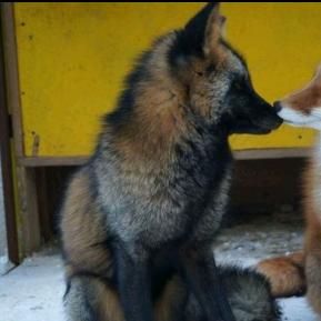 🌧️🄱🄾🄽🄴🅂🌧️