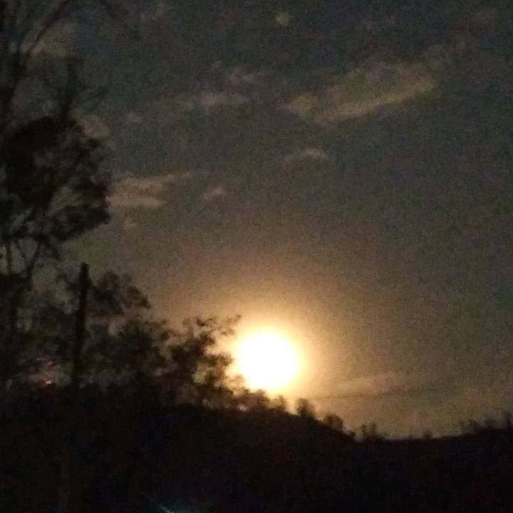 alondra hernandes hernandes