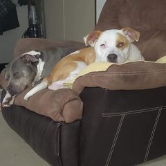 melissagordon435❌️