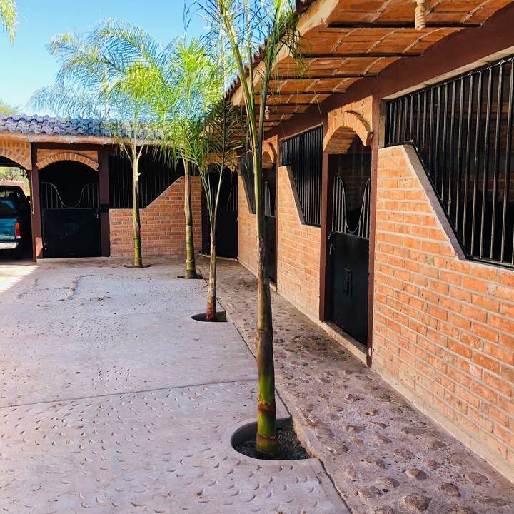 Venta de caballos charros
