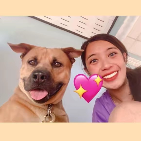 เปาเปากับนุ่นนุ่น