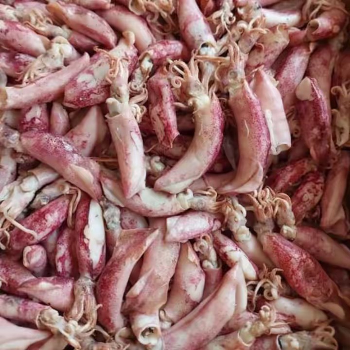 pusatikanasinpantura