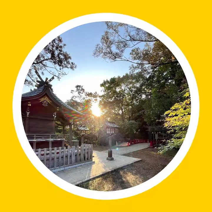 🐉今日の龍神様🐉