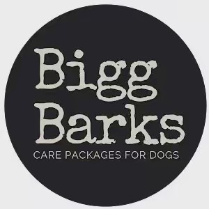 biggbarks