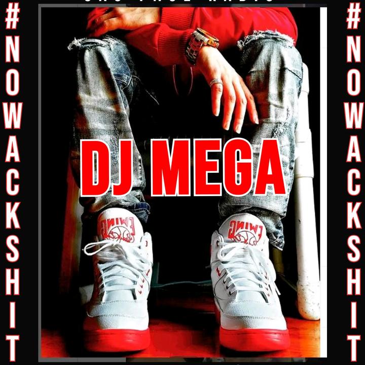 DJ Mega *the REAL DJ MEGA