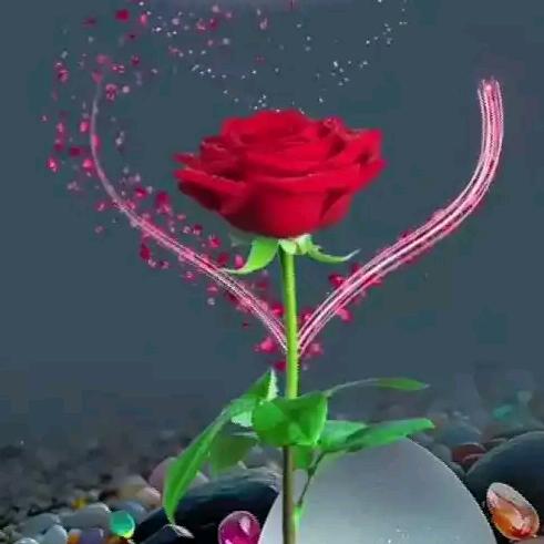 Md Saidul ... gmail com💔❤️💯?