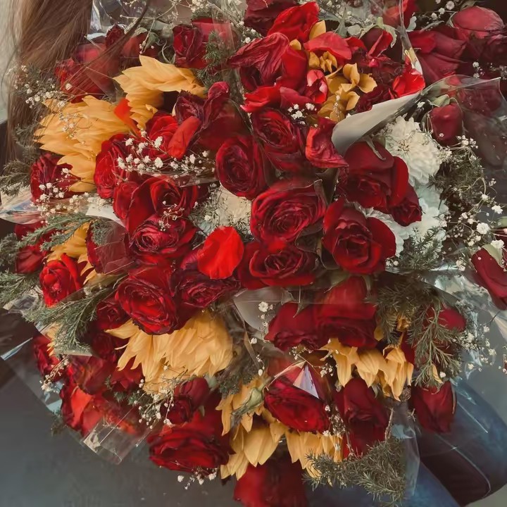 M I R A N  D A ⭐️